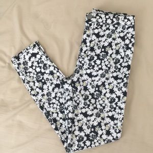 Daisy Floral Printed Jeggings